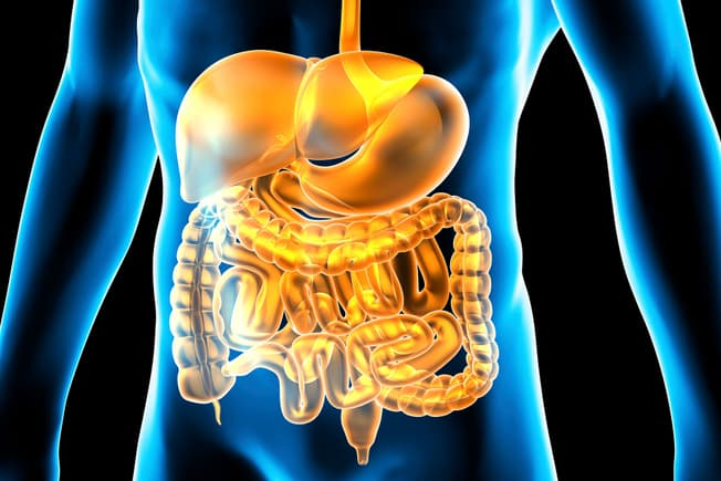 Good for Digestion สับปะรดดีสำหรับการย่อยอาหาร